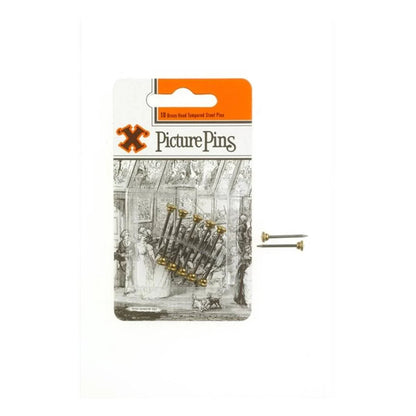 Picture Pins Brass Head (Pack of 10)