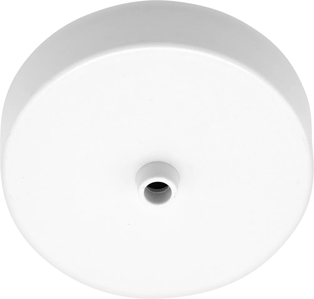 Ceiling Rose 3.5" Term & Earth BG