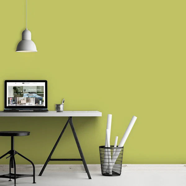 Farrow & Ball Acid Drop No. 9908