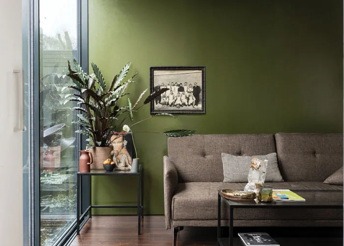 Farrow & Ball Dyrehaven No. 9819