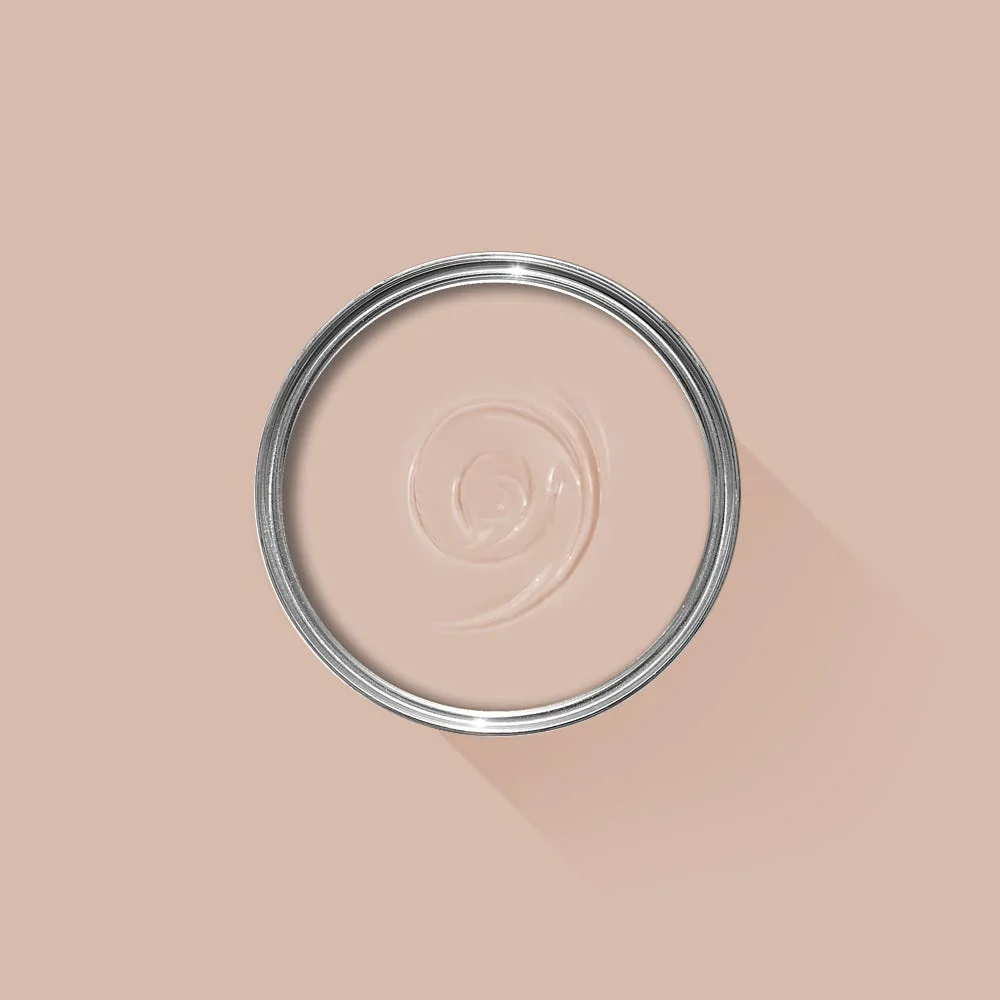 Farrow & Ball Potted Shrimp No. 9906