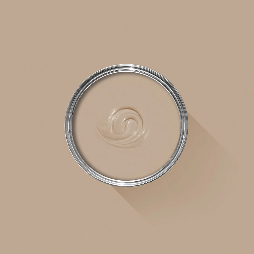 Farrow & Ball Smoked Trout No. 60