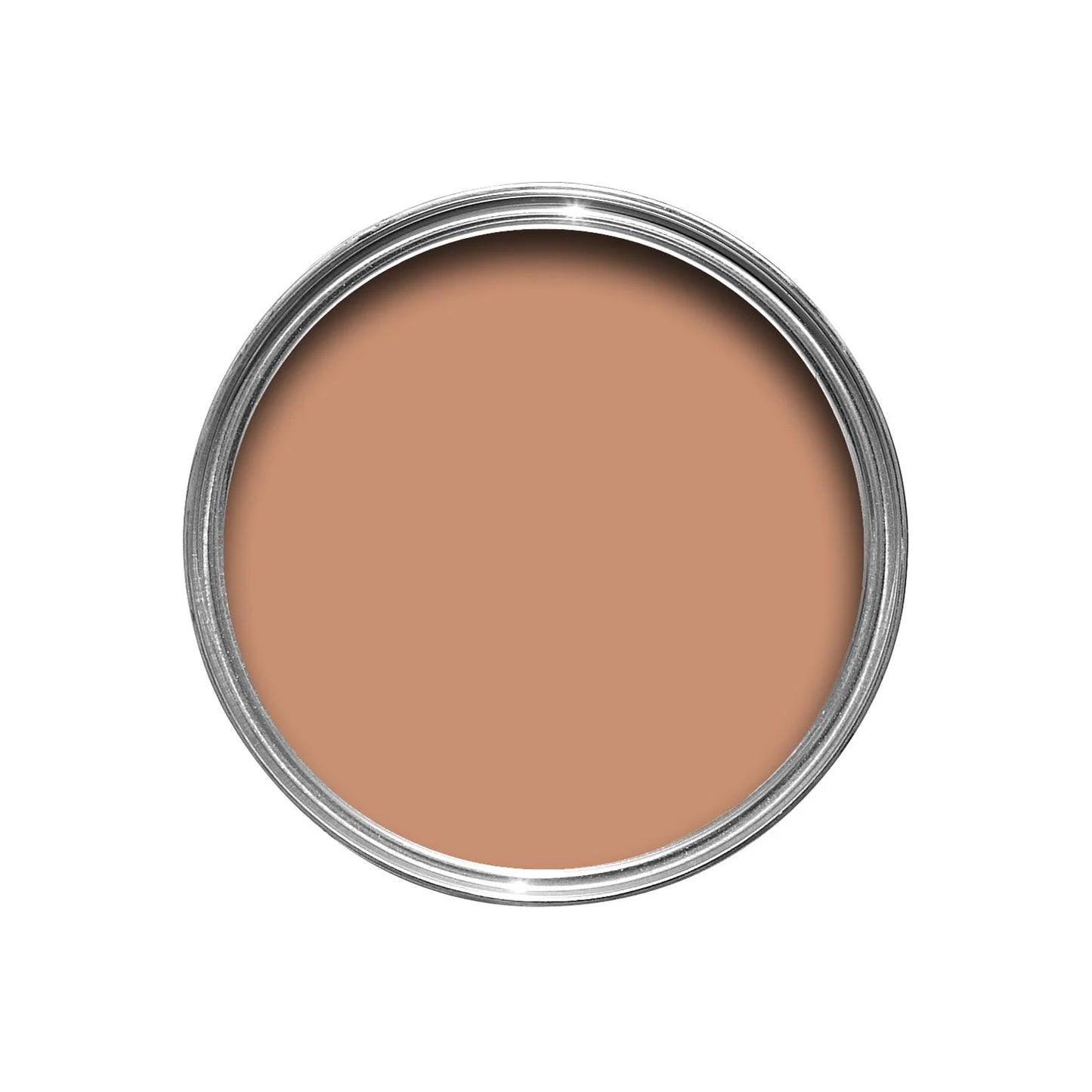 Farrow & Ball Menagerie No. 63