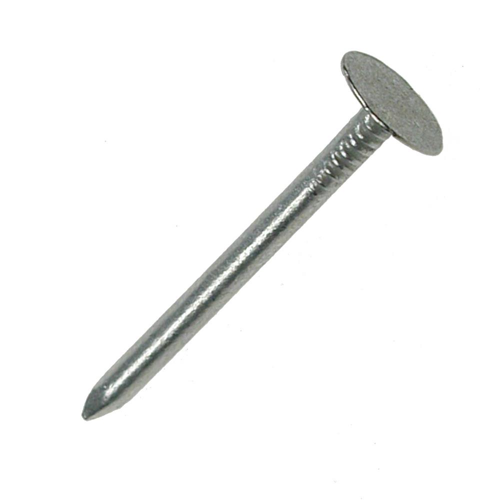 Clout Nails Galvanised 50 x 2.65mm