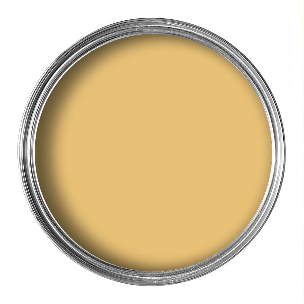 Paint library Pure Flat emulsion 125 ml. Sample PARASOL D508