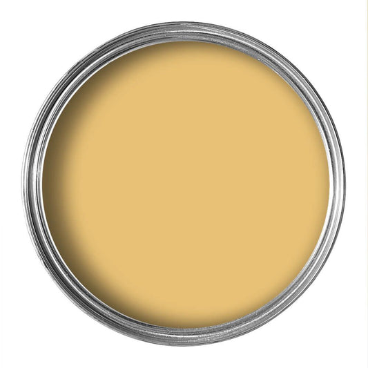 Paint library Pure Flat emulsion 125 ml. Sample PARASOL D508