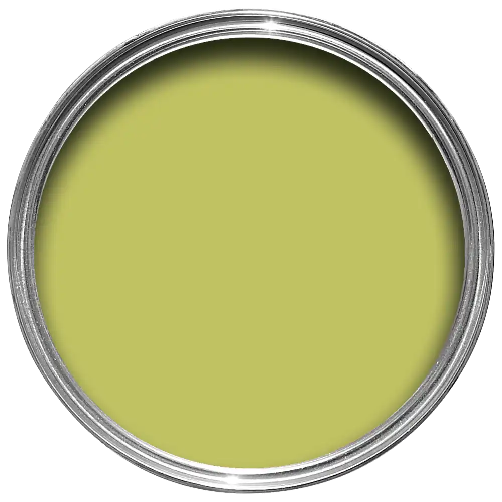 Farrow & Ball Acid Drop No. 9908