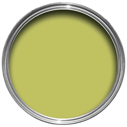 Farrow & Ball Acid Drop No. 9908