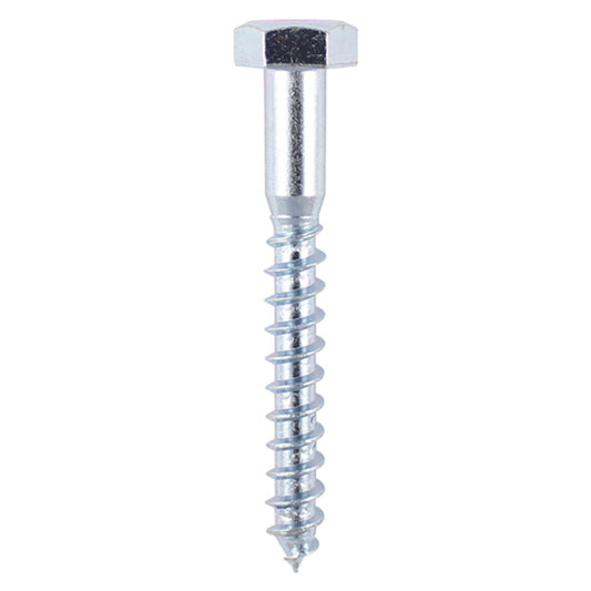 Coach Screw 6.0 x 80mm
