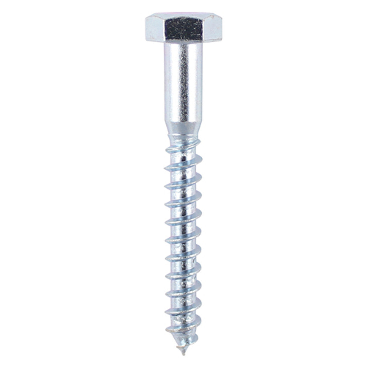 Coach Screw 10.0 x 80mm