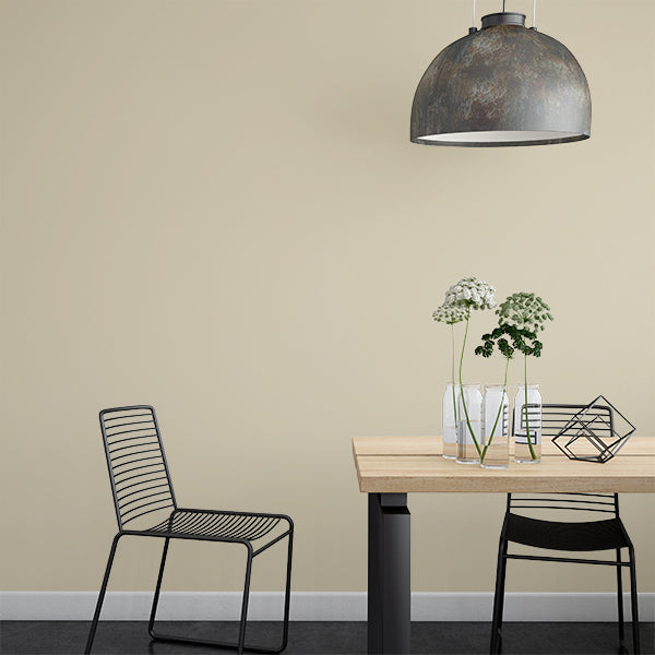 Farrow & Ball Light Stone No. 9
