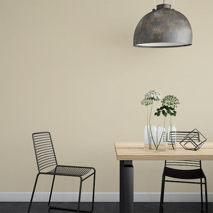 Farrow & Ball Light Stone No. 9