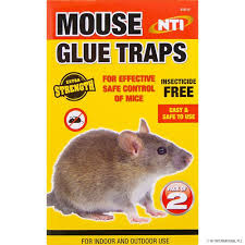 Mouse Glue Tap