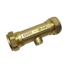 BFDCV-22 22MM DOUBLE CHECK VALVE DZR