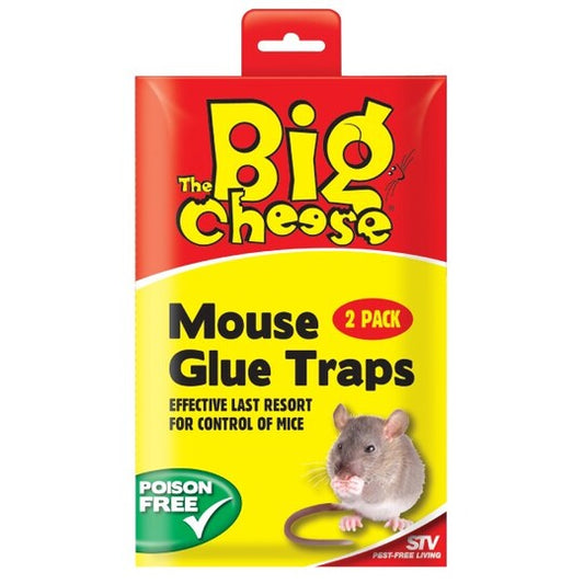 Big Cheese Glue Trap