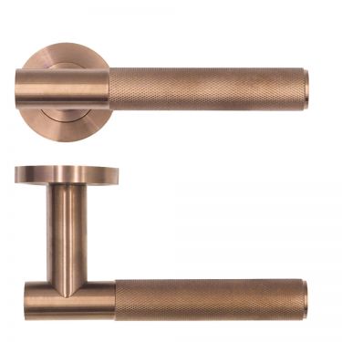 Orta Lever on Rose BZ