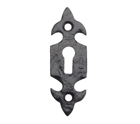 Fleur de lys escutcheon cover BL