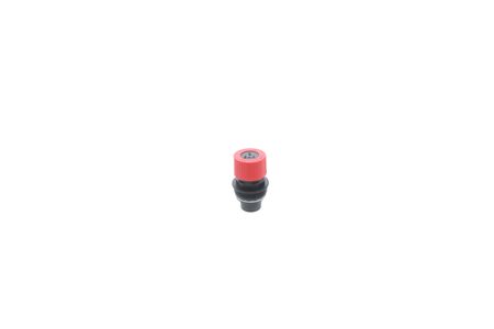 Glow-Worm Pressure Relief Valve 20118190