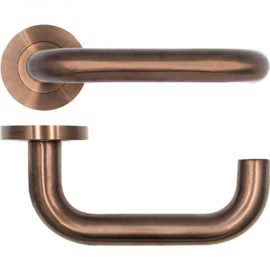Maggiore Lever on Rose BZ