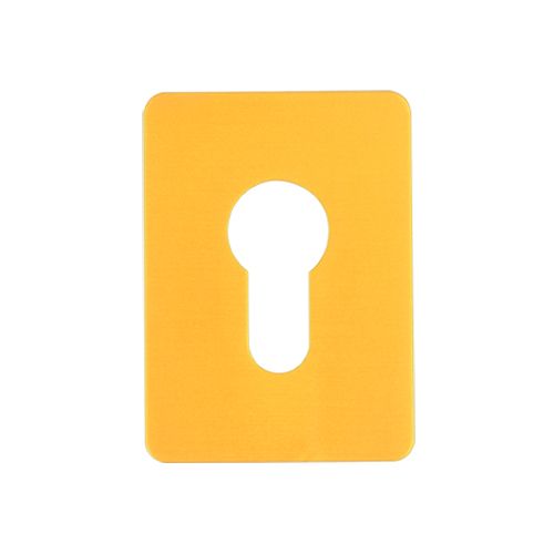 Large Euro Stick On Escutcheon