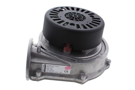 Baxi Fan