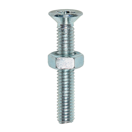 Machine Screw & Nut M6x40 (10PCS)